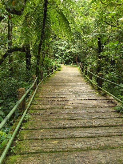 Photos of Cibereum Waterfall