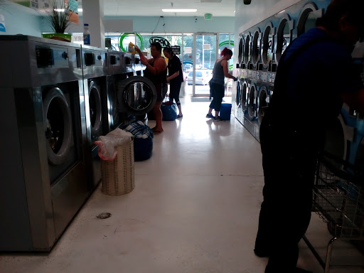 QED Laundry - Visual