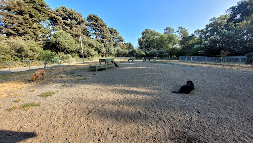 Fortuna Dog Park - Thumbnail