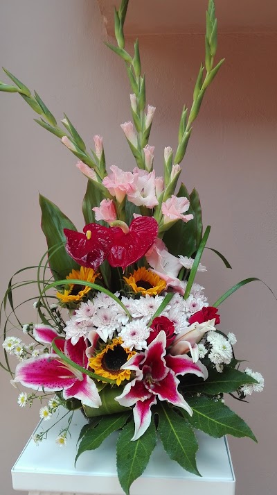 Photos of FLORISTER&Iacute;A AVE DEL PARA&Iacute;SO JACO
