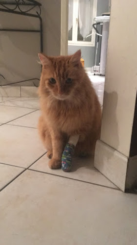 68 Av. de la Malgrange, 54140 Jarville-la-Malgrange