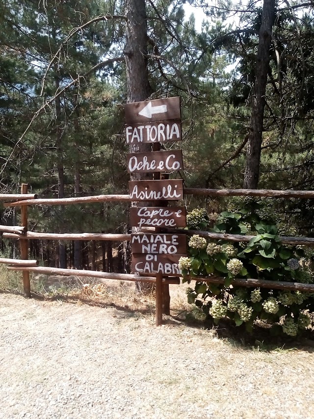 La Taverna dei Briganti