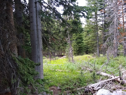 Lake Agnes Trailhead - Thumbnail