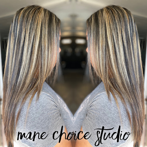 Mane Choice Studio - Visual