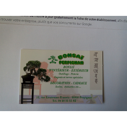 Photo n°4 de Bonsaï Perpignan à Perpignan (Fleuriste)