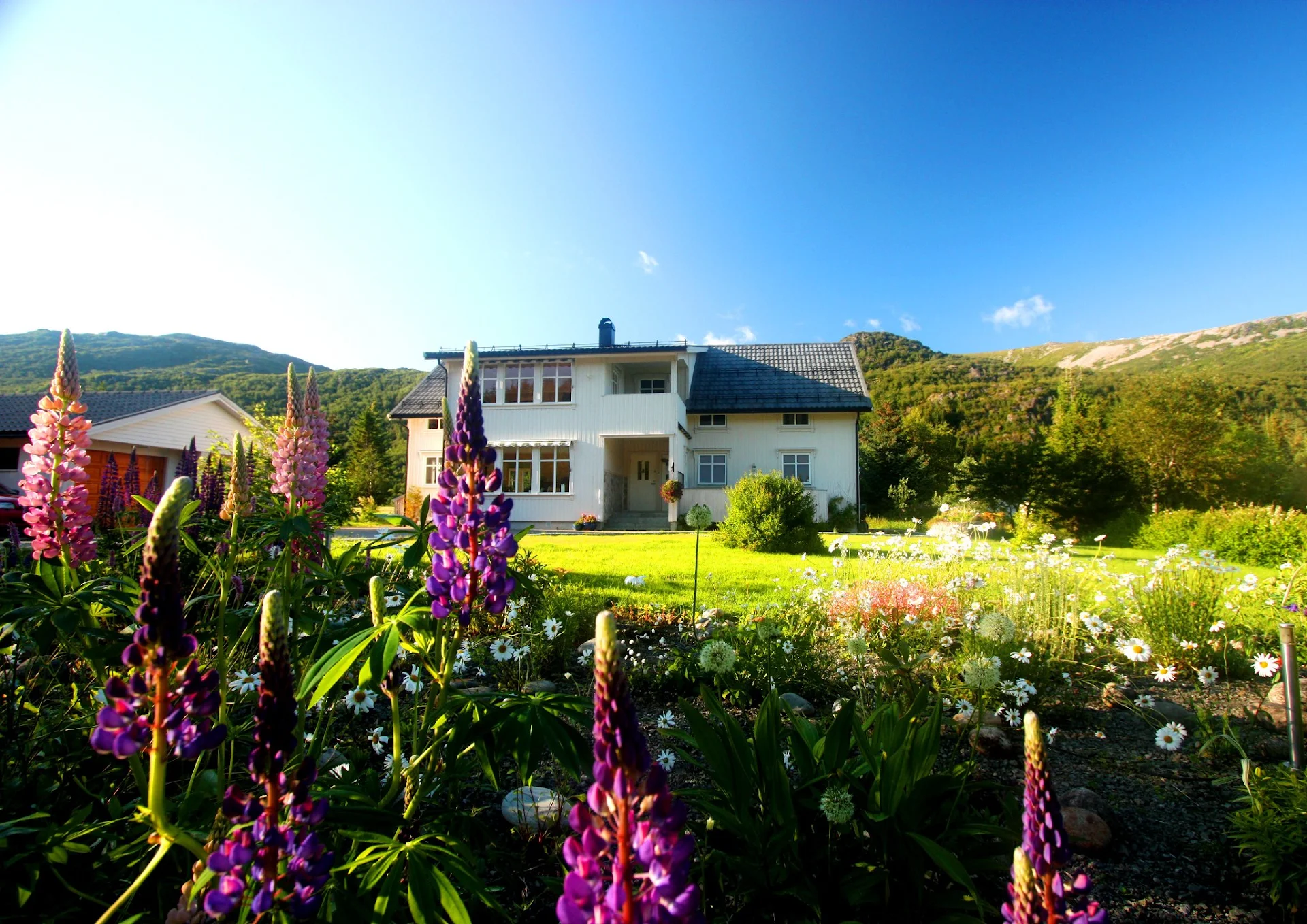 Anne Gerd's Lofoten B&B