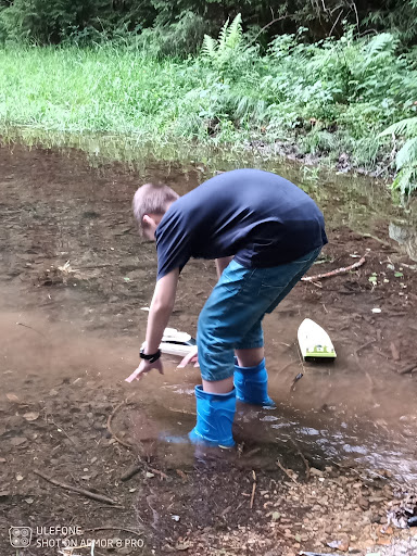 Waldteich - Visual