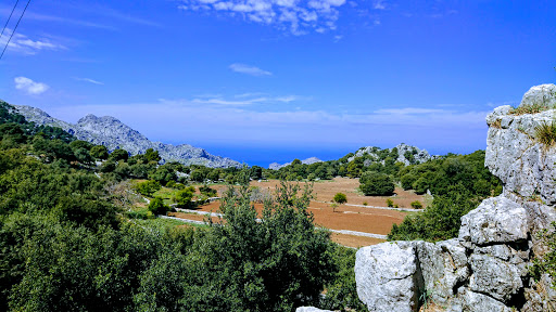 Restaurant Escorca - Thumbnail