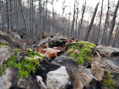 Photos of Dajti