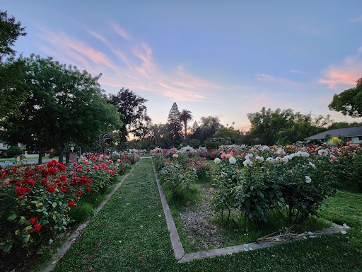 McKinley Rose Garden - Thumbnail