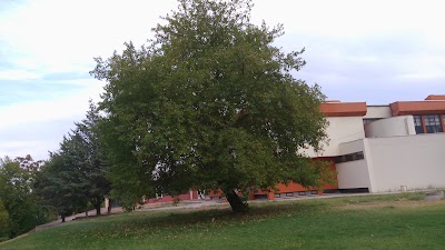 Photos of Inonu Universitesi