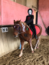 Photo n°14 de La colline aux poneys à Saint-Germain-des-Grois (Centre équestre)