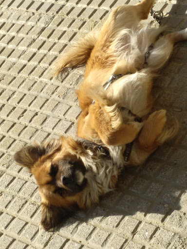 Panadería Leiro