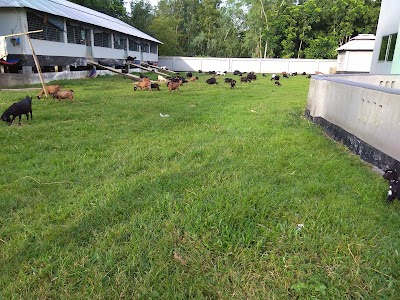 Photos of JAKAS Foundation Head Office