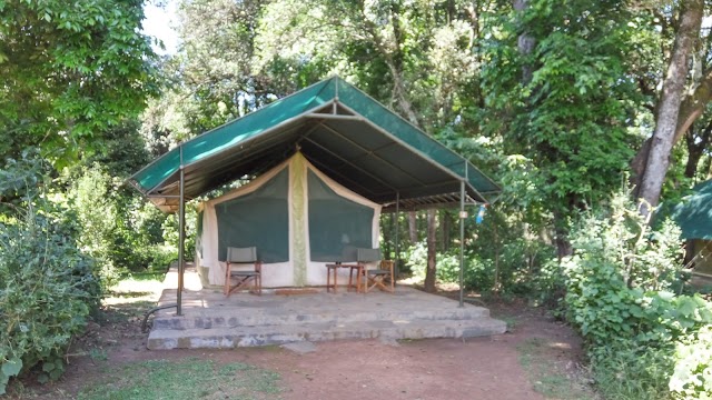 Place around image