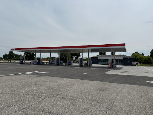 Esso Bertinoro - Visual
