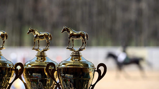 Kings Park Equestrian Gallery - Australia