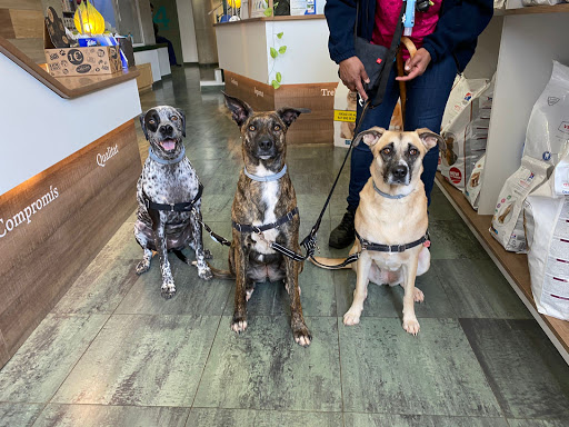 Medivet 24h Feres Manresa