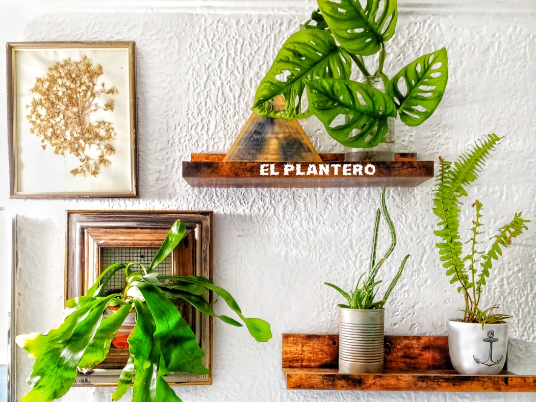 El Plantero