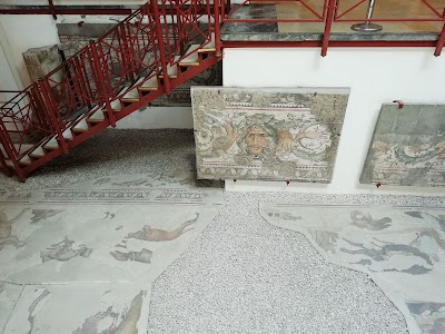 Museum of Great Palace Mosaics