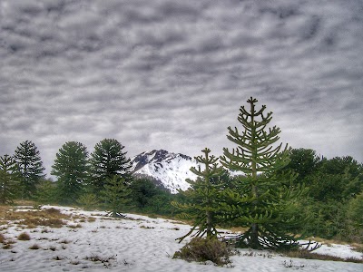Photos of Pampas del Quinchol