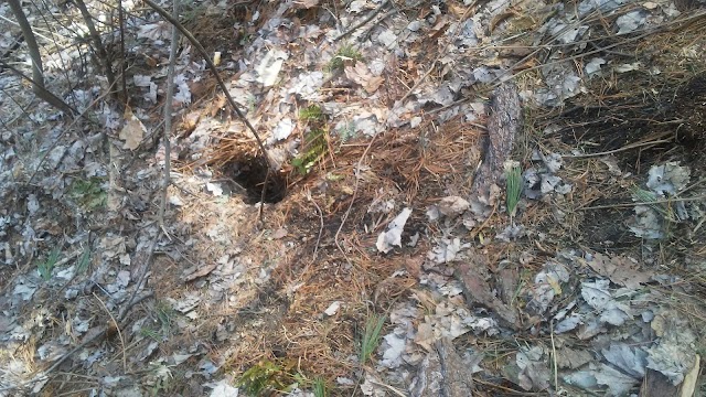 Centennial Woods Natural Area