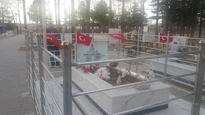 Photos of Sehitler Omar Halisdemir Kabri