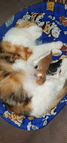 "Ветеринарна клиника - Авицена“ - София