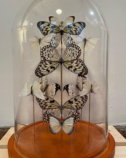 Heavy Petal Gallery - United States