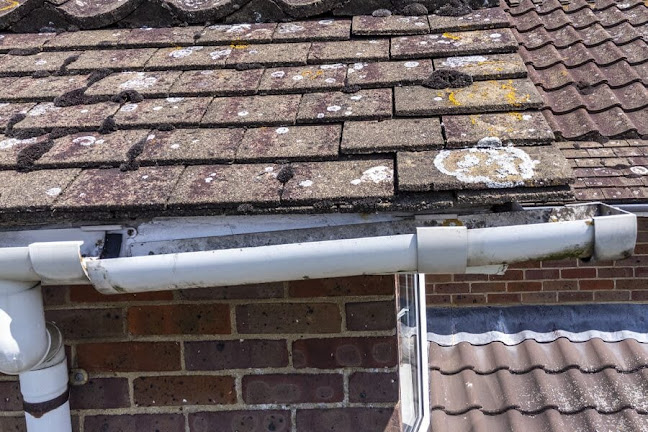IB Cleaning - Window Cleaner Phone number