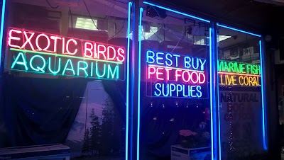 For Birds Only