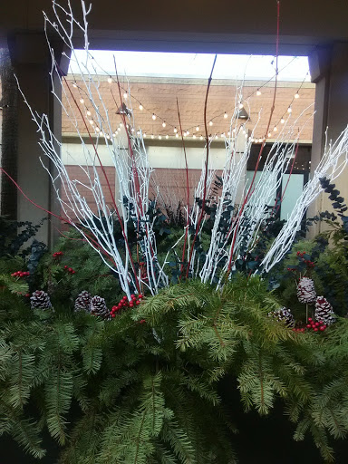 Hyde Park Shopping Center - Thumbnail