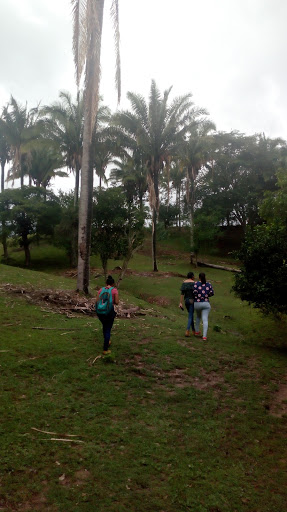 El Refugio De Firulais - Thumbnail