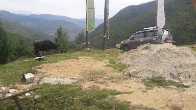 Photos of Bjemina
