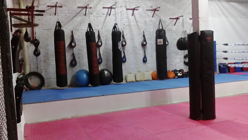 MARIN MMA TEAM TEPEJI - Thumbnail