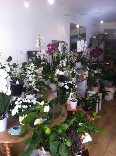 MELODIE FLORALE - Thumbnail