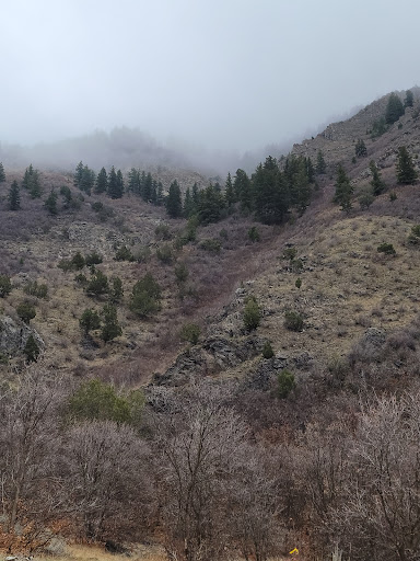 Ridgeline Trail Trailhead - Thumbnail
