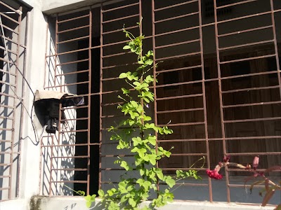 Photos of CHANDAIKONA