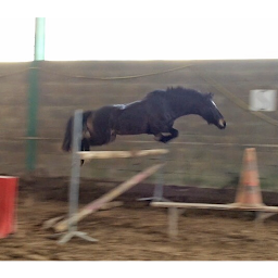 Photo n°1 de Poney-Club de Passieu à Saint-Romain-de-Jalionas (Centre équestre)