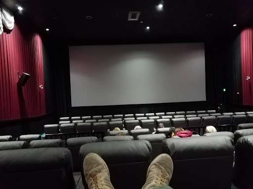 Flagship Cinemas Inc Gallery - United States