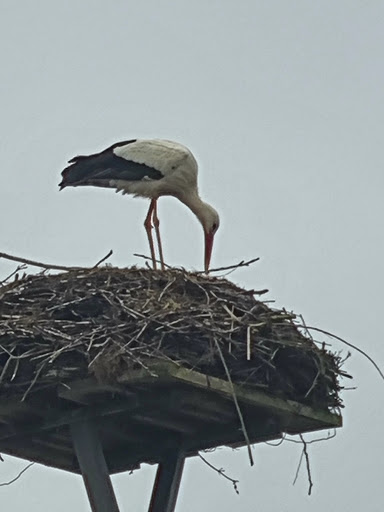 Haarentfernung-Heide - Thumbnail