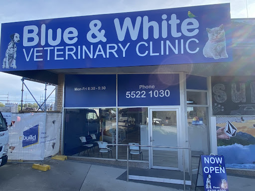 Blue & White Veterinary Clinic Nambucca Heads