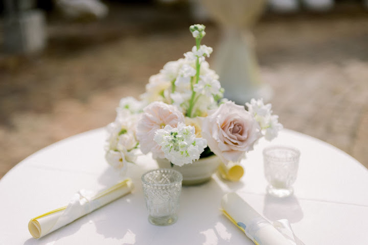 The Escalante by null