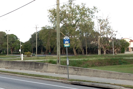 Fruitville Rd @ Beneva Rd - Thumbnail