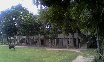 school
