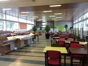 Photo n°12 de PORTASSAU PEINTURE, SOL & FACADE TARBES à Ibos (Service de pose de parquet)