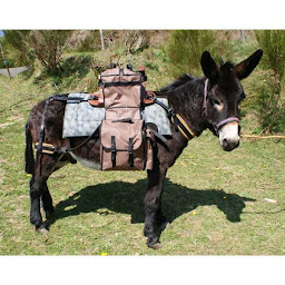 Photo n°3 de Entr'anes à Luzech (Circuit de randonnée)