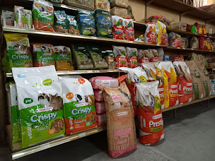 Photo n°16 de Graineterie Jardinerie Tesson à Belmesnil (Jardinerie)