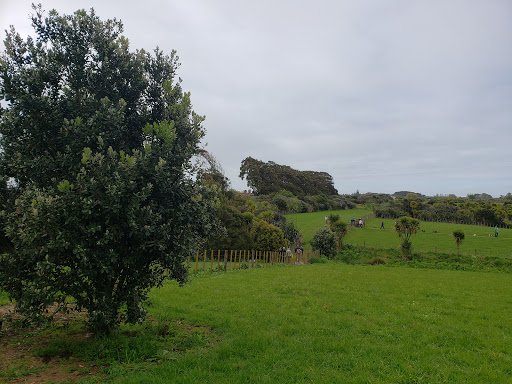 Mount Gabriel Christmas Tree Farm - Thumbnail