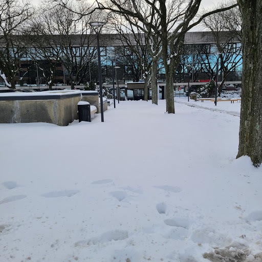 Northern Blvd + Middle Neck Rd. - Thumbnail